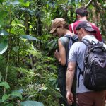 Kokoda Track9