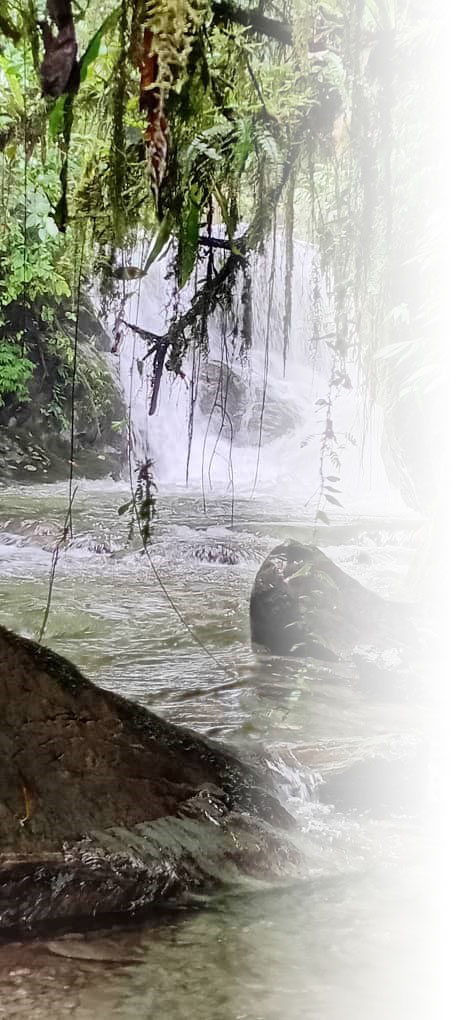 Kokoda Trek Waterfall2 Kokoda Trek Waterfall2