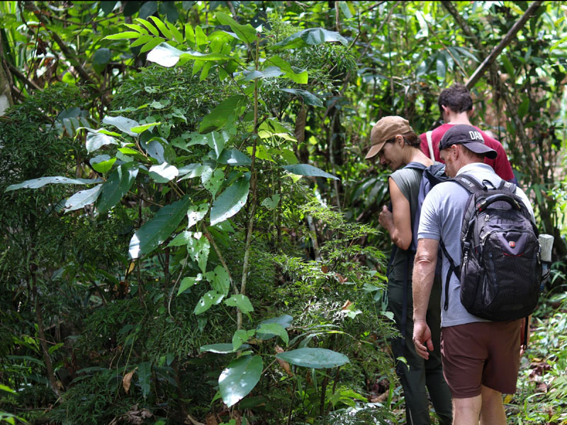 Wildlife Expeditions Wildlife Expeditions